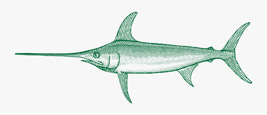Transparent Marlin Fish Png - Swordfish, Transparent Clipart