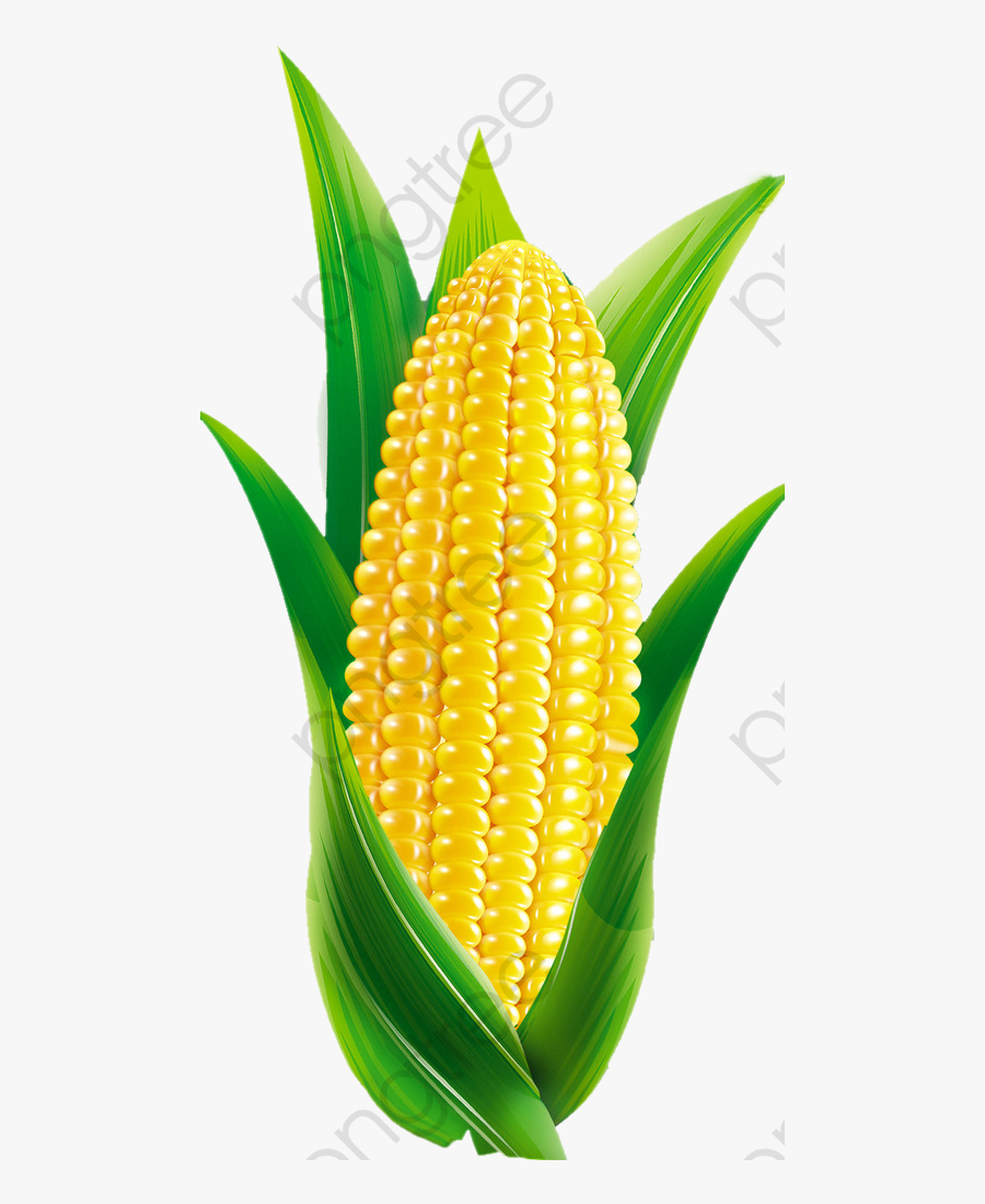 Corn Clipart Transparent - Corn Fancy Dress, Transparent Clipart