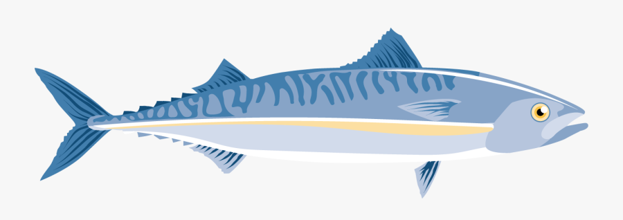 Fishing With Neighbours - Sailfish, Transparent Clipart