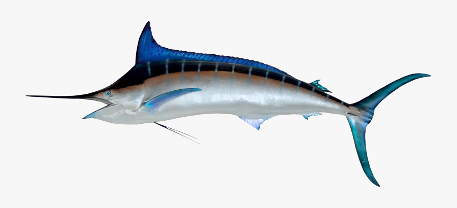 Swordfish Png Clipart , Png Download - Swordfish Png Transparent, Transparent Clipart