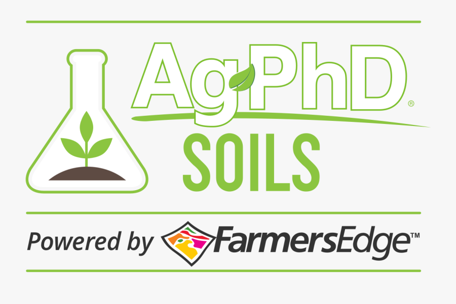 Graphic Design, Transparent Clipart