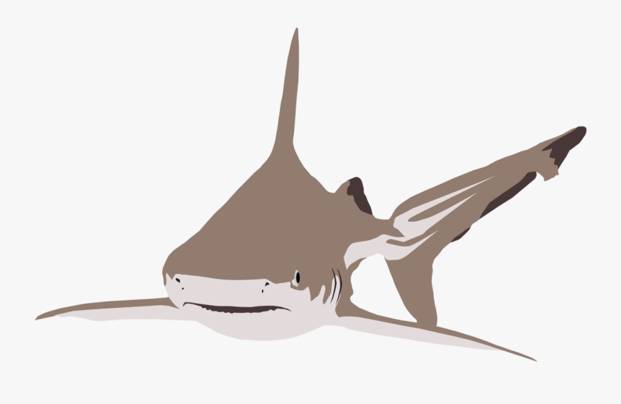Transparent Marlin Clipart - Requiem Shark, Transparent Clipart