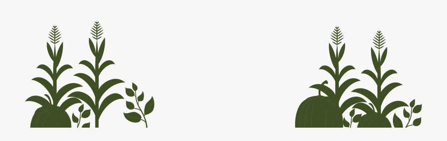 Image, Transparent Clipart