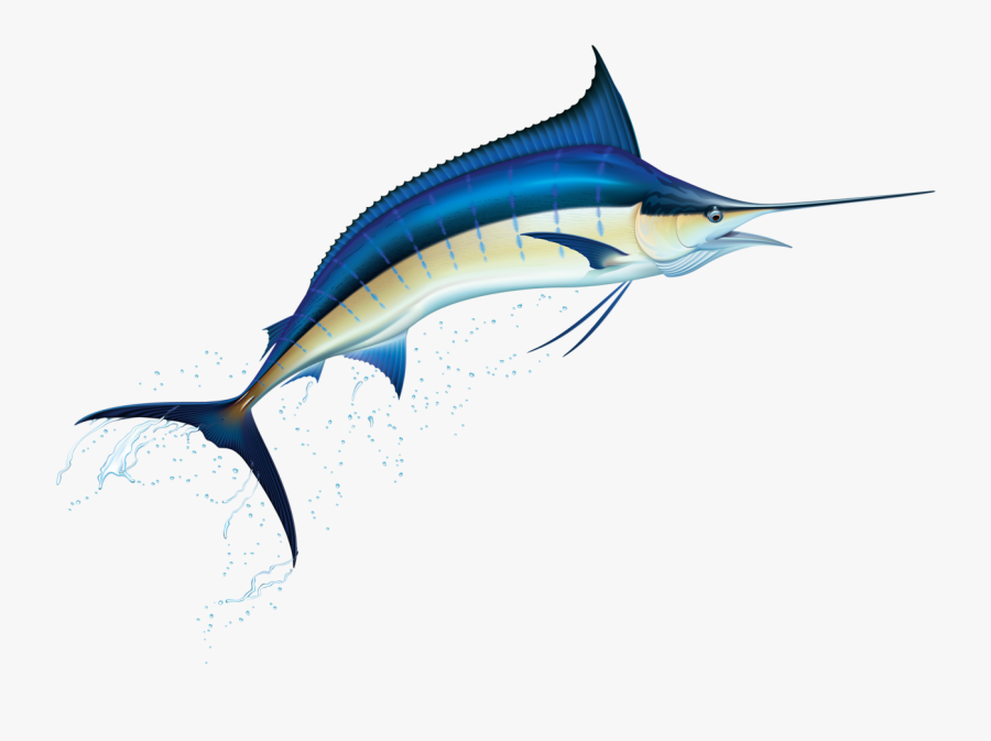 Jumping Marlin, Transparent Clipart