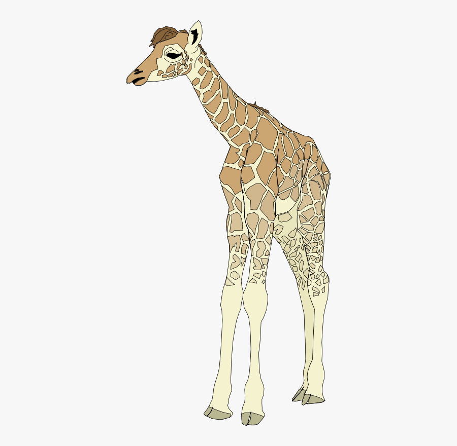 Baby Giraffe - Giraffe Clip Art, Transparent Clipart