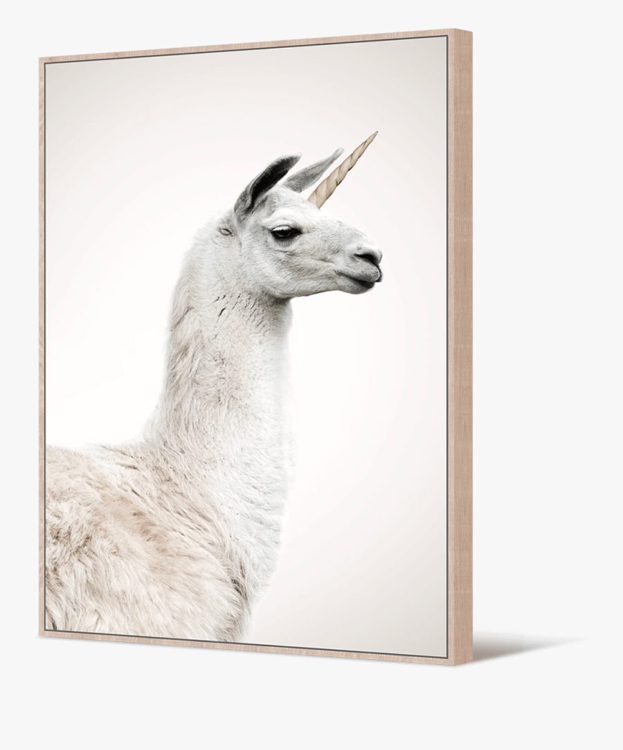 Transparent Llamas Png - Llama, Transparent Clipart