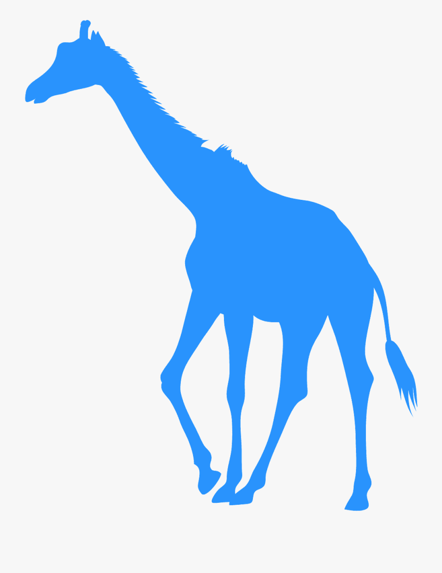 Giraffe, Transparent Clipart