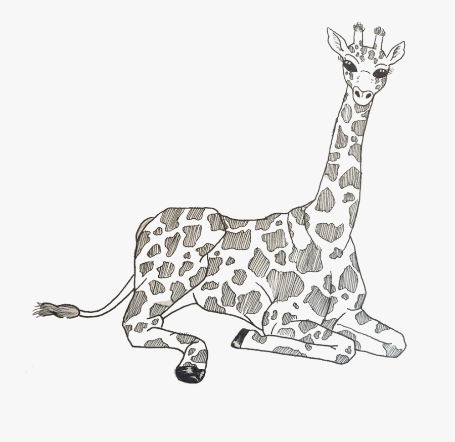 Baby Giraffes Lineart Giraffe , Free Transparent Clipart ClipartKey