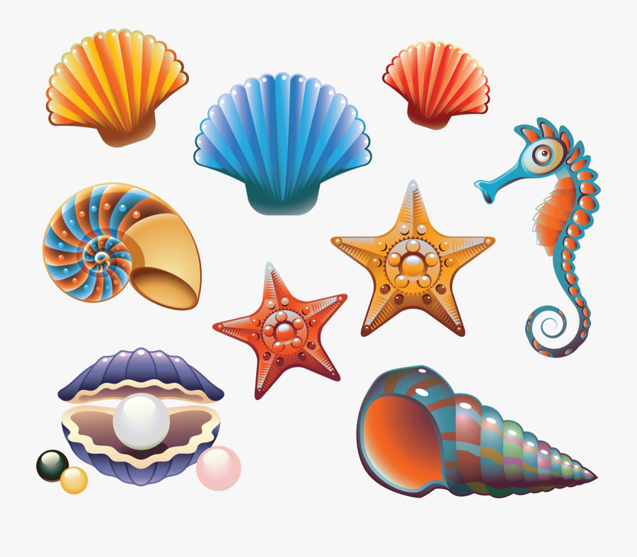 Transparent Beach Clipart - Shells Clipart, Transparent Clipart