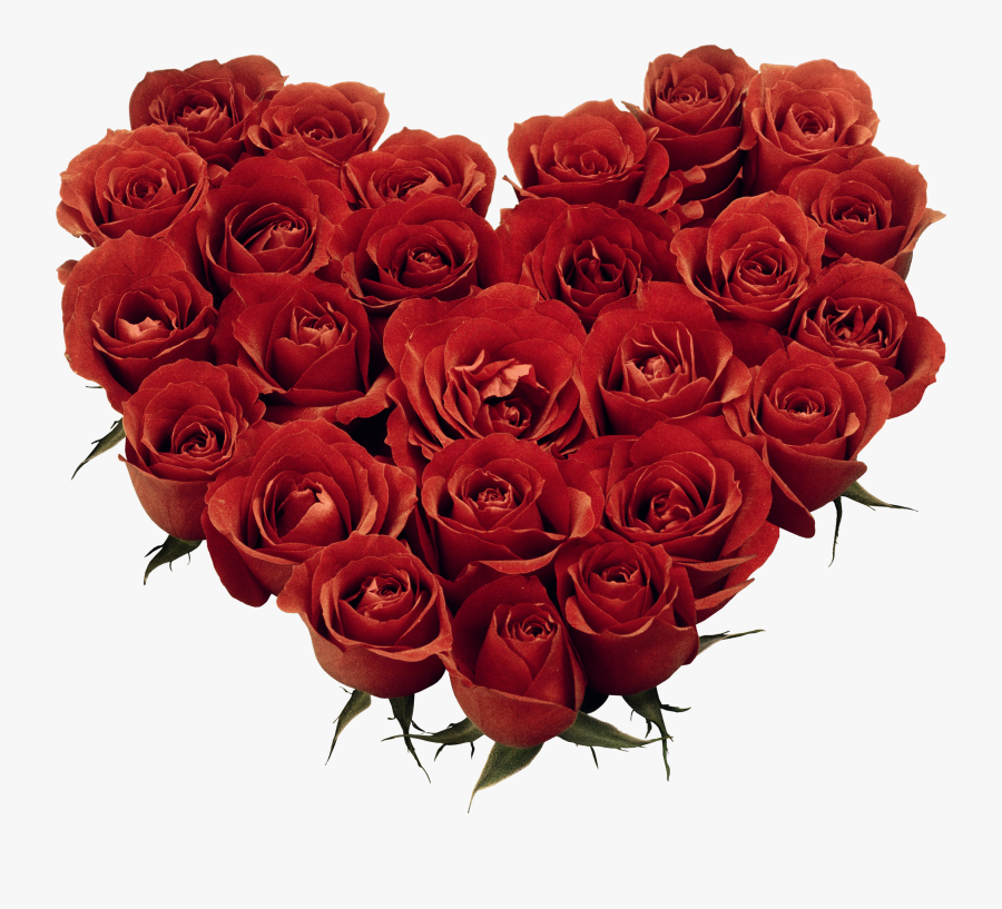 Heart Shape Red Roses, Transparent Clipart