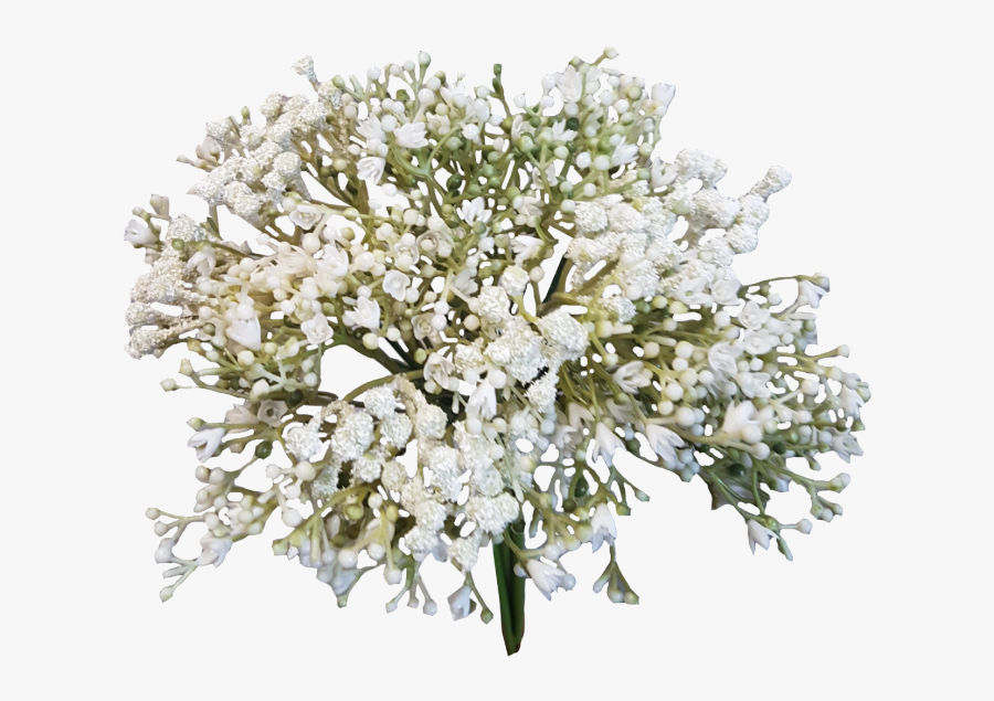 Clip Art Baby Breath Wedding Bouquets - Baby Breath Flowers Png, Transparent Clipart