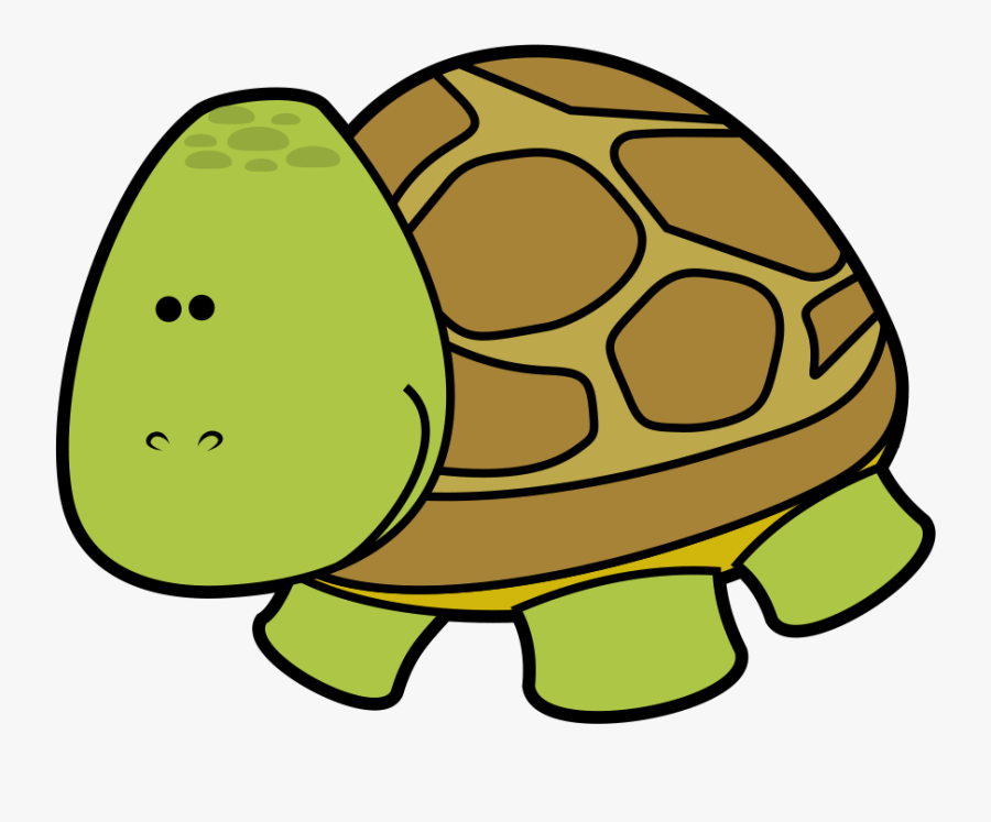 Черепашка картинка. Черепашка мультяшная. Черепаха рисунок. Черепаха для дошкольников. Черепаха рисунок для детей.