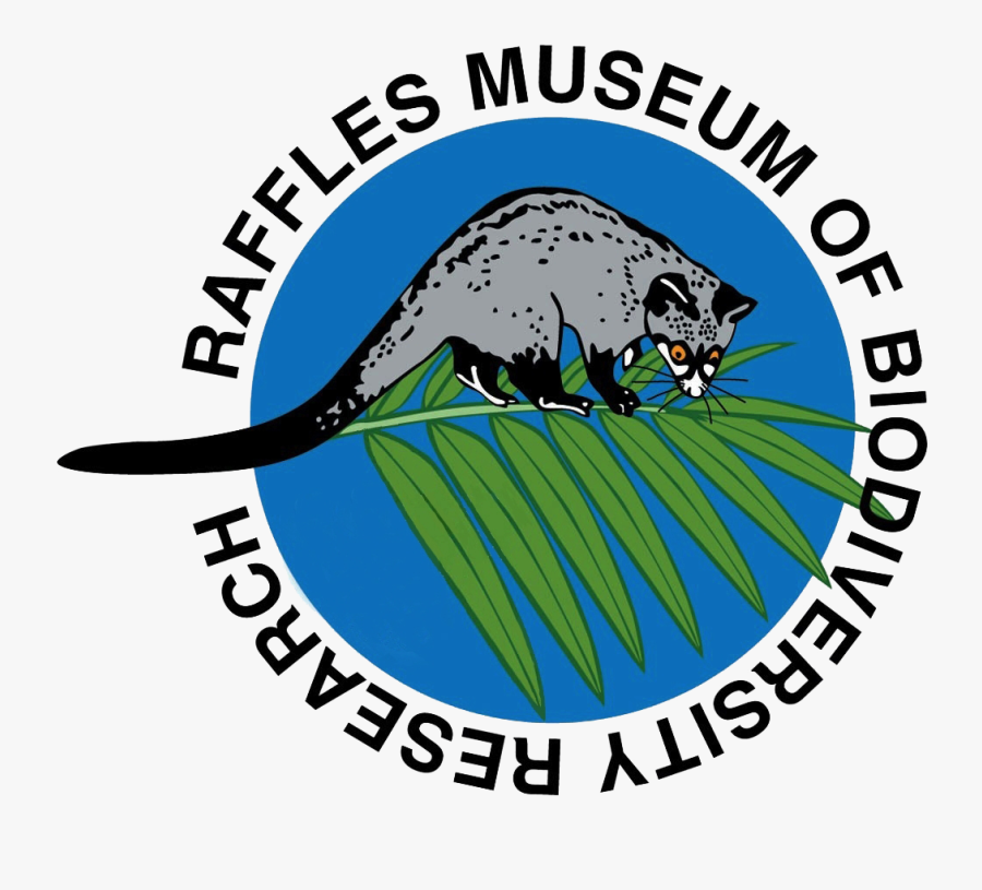 Force Office Of Scientific Research - Possum, Transparent Clipart