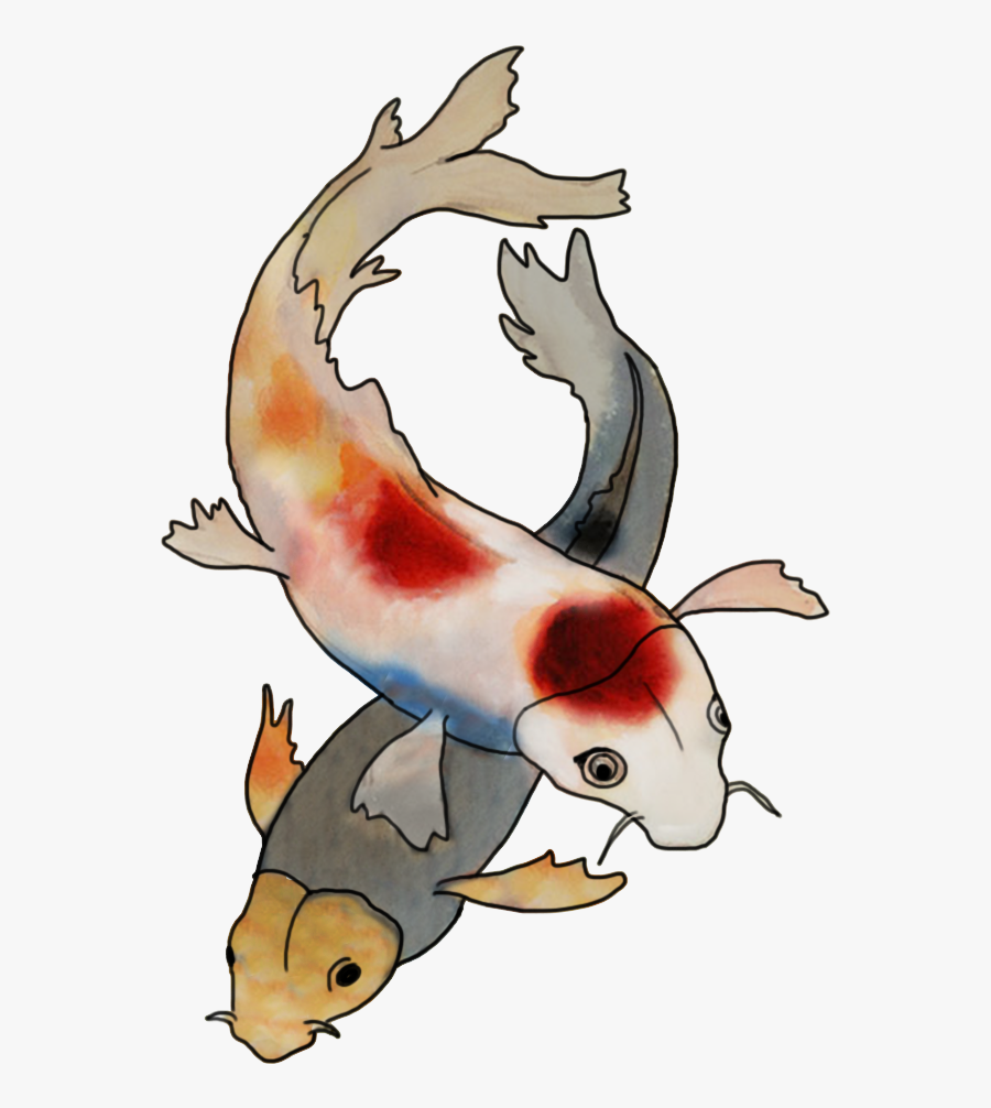Fish Japanese Koi Transparent, Transparent Clipart