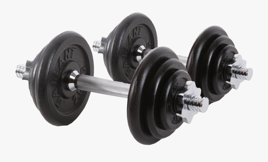 Dumbells Transparent Background Image - Free Weights Transparent Background, Transparent Clipart