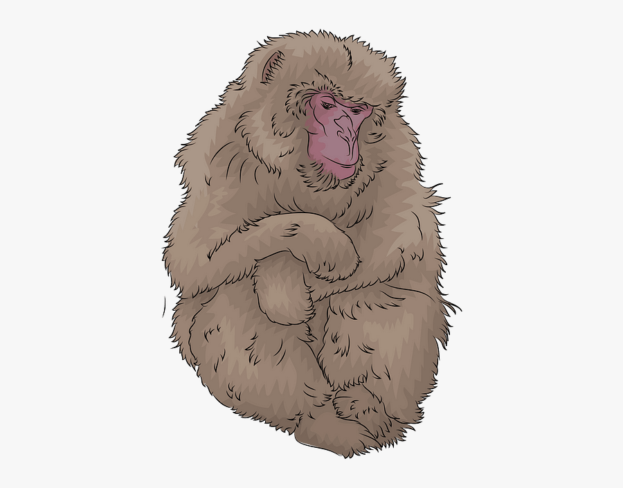 Cat Yawns, Transparent Clipart