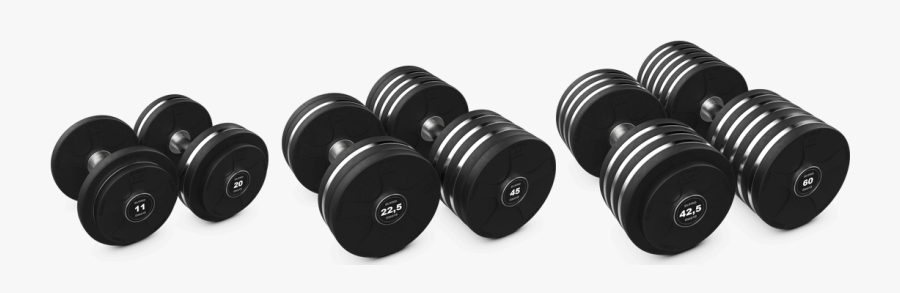 Transparent Dumbbells Png - Eleiko Dumbbells, Transparent Clipart