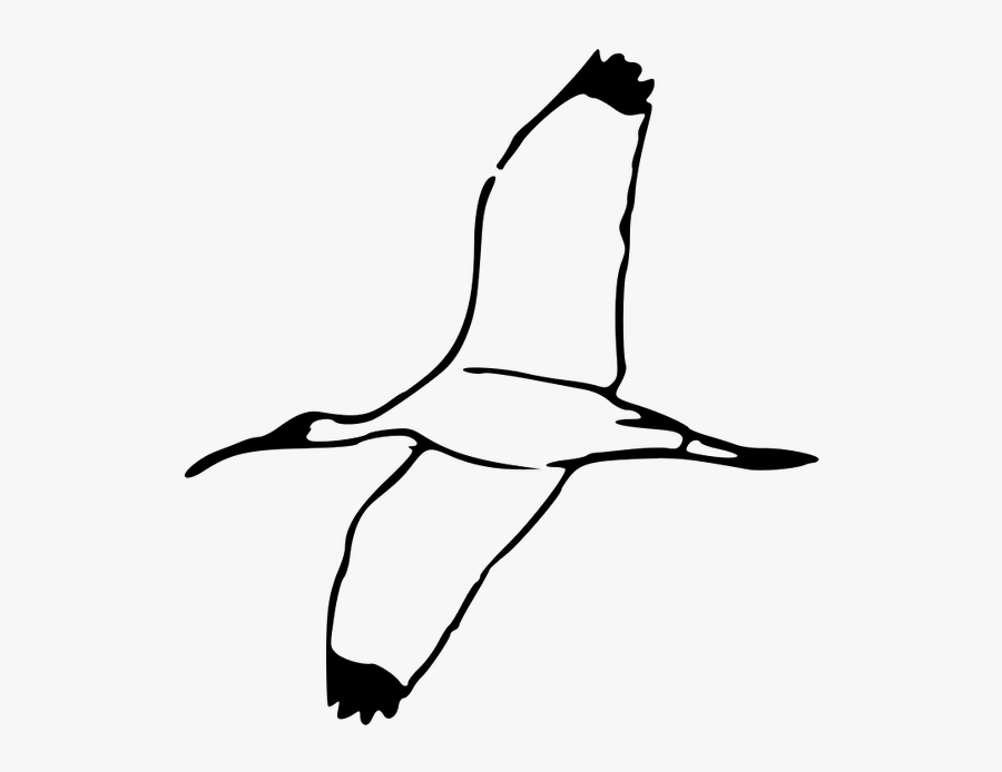 White Birds Flying Clipart , Png Download - Ibis Clipart, Transparent Clipart
