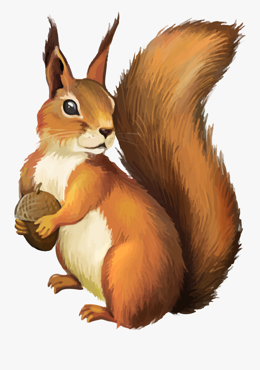 Squirrel Clip Art - Squirrel Clipart Png, Transparent Clipart