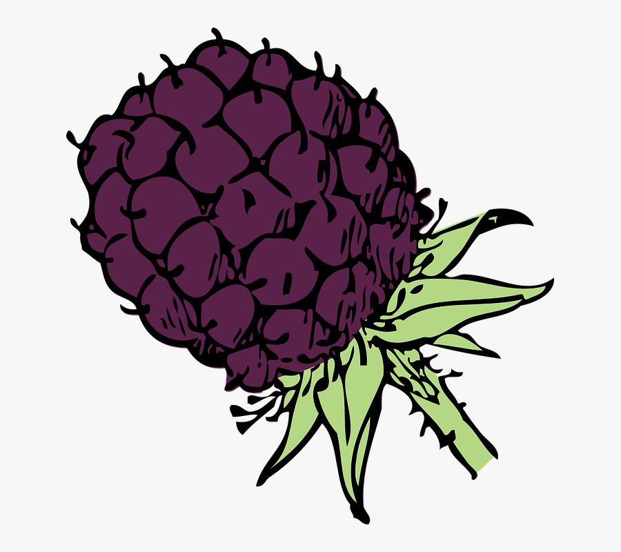 Blackberry Clip Art Free Vector 4vector - Blackberry Clip Art Png, Transparent Clipart