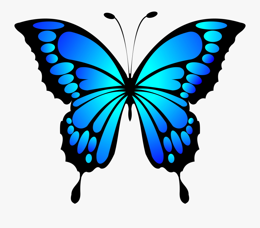 Picture Free Big Image Png - Blue Morpho Butterfly Clipart, Transparent Clipart