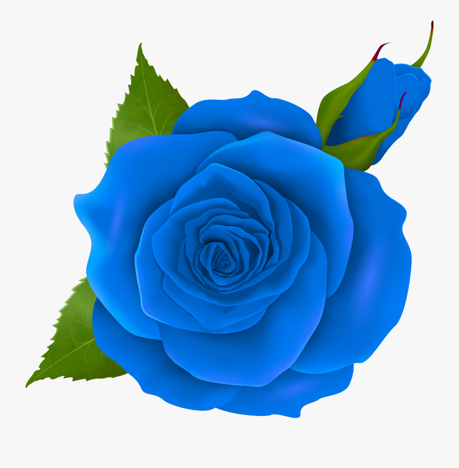 Blue Rose And Bud Transparent Png Clip Artu200b Gallery, Transparent Clipart