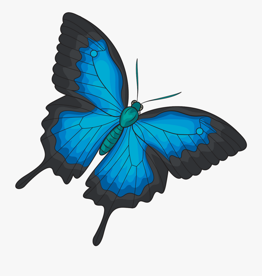 Papilio Machaon, Transparent Clipart
