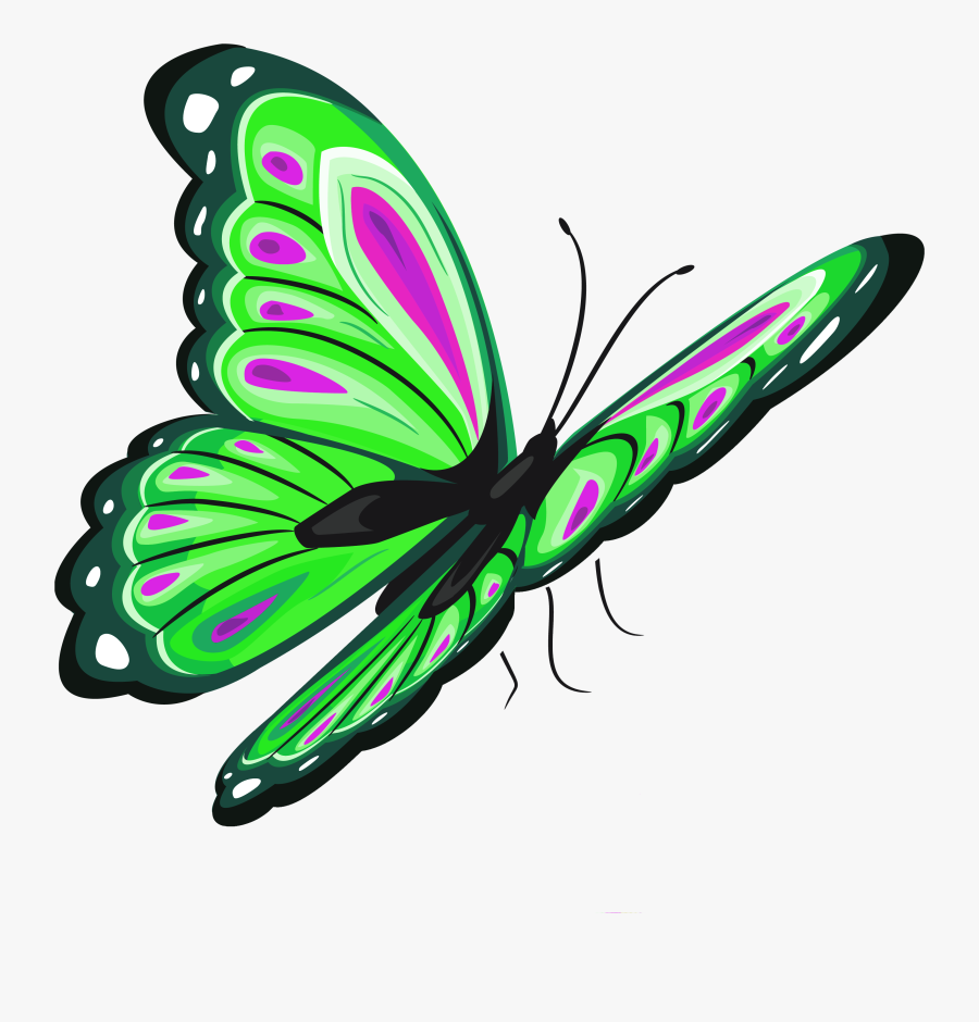 Butterfly Clip Art - Papillon Png Transparent, Transparent Clipart