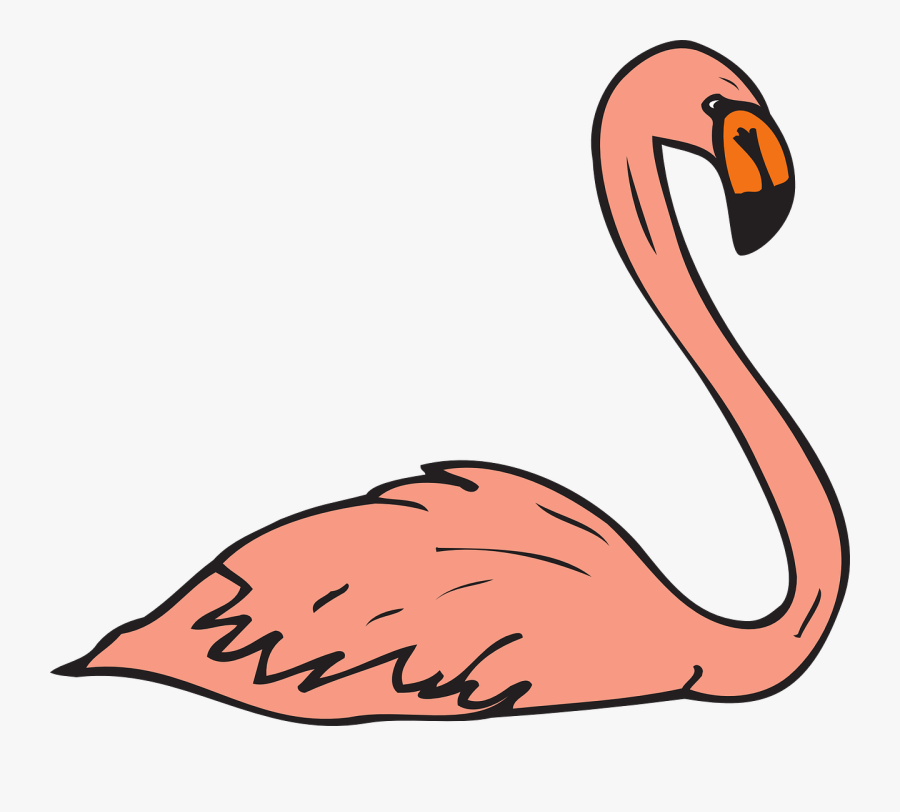 Pink Bird Swimming Wings Flamingo Long Neck - Clip Art Flamingo & Swan, Transparent Clipart