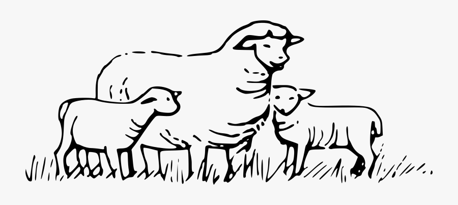 Sheep Black And White Sheep Clipart Black And White - Sheeps Clipart Black And White, Transparent Clipart