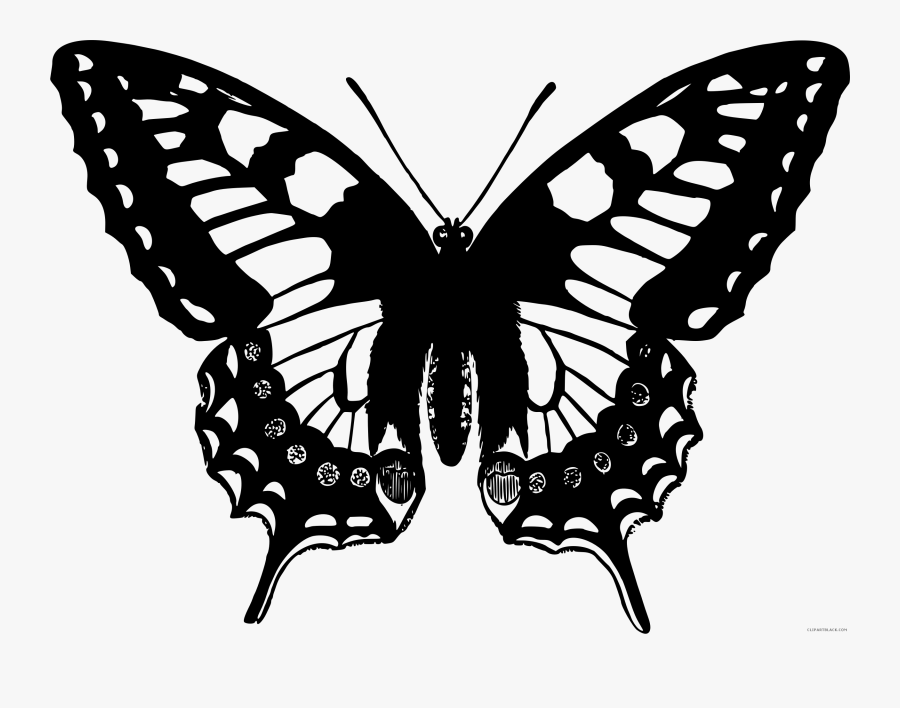 Black And White Butterfly Animal Free Black White Clipart - Swallowtail Butterfly Drawing, Transparent Clipart