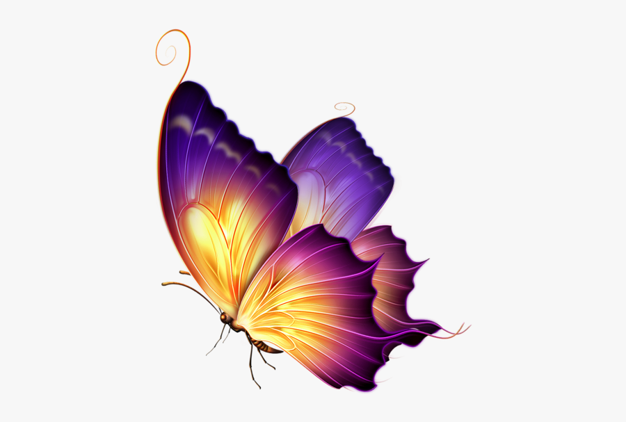Butterfly Png For Editing, Transparent Clipart