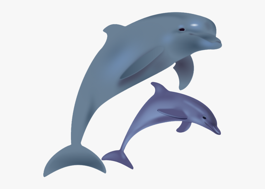 Free To Use Public Domain Dolphin Clip Art - Transparent Dolphin, Transparent Clipart