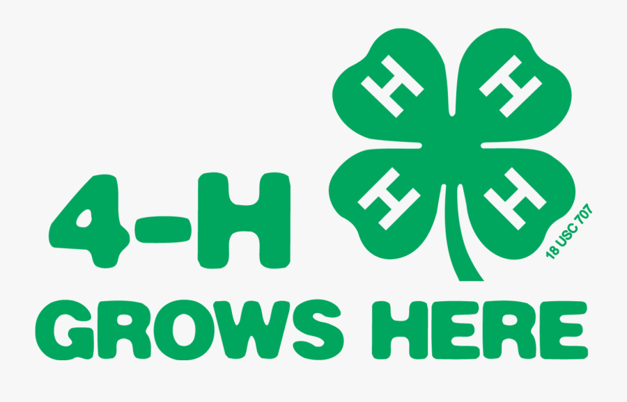 4 H Club Meeting, Transparent Clipart