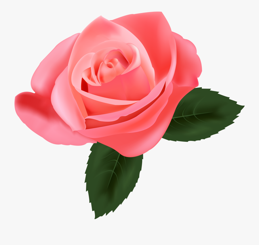 Pink Rose Png Clipart - Pink Rose Png Transparent, Transparent Clipart