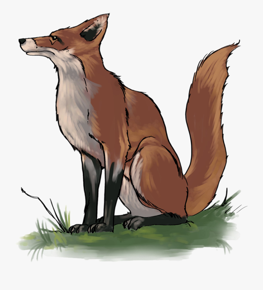 Fox Clipart School Pencil And In Color Fox Clipart - Red Fox, Transparent Clipart