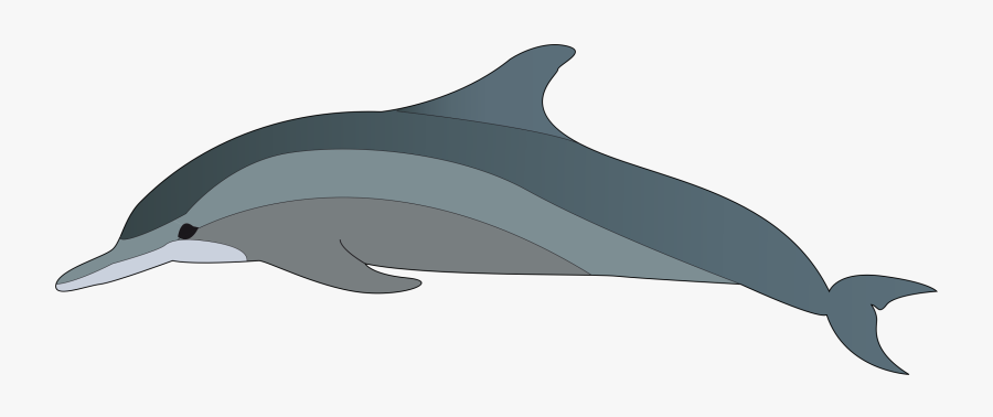 Dolphin Clipart Dolphin Clip Art 3 Car Pictures - Clipart Dolphin, Transparent Clipart