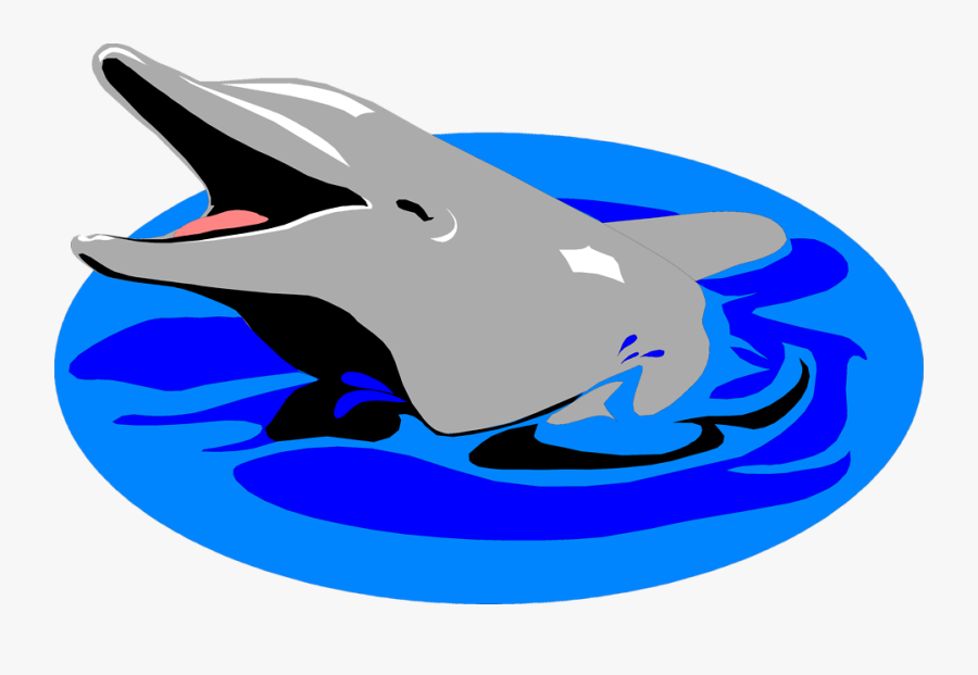 Free Stock Photos - Dolphin In Water Clipart, Transparent Clipart
