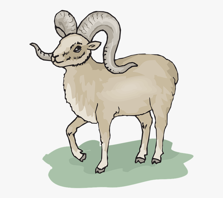 Clip Art Bighorn Sheep Clipart - Big Horned Sheep Cartoon, Transparent Clipart