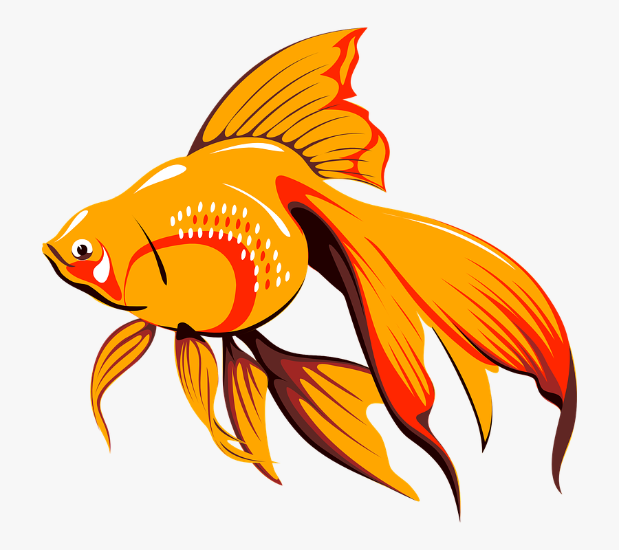 Fish Swimming Clipart - Copyright Free Gold Fish Cartoon, Transparent Clipart