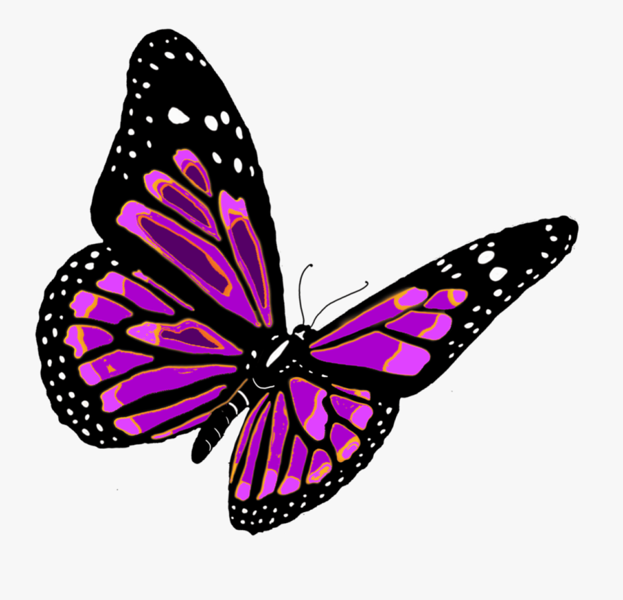 Clip Art Butterfly Freeuse Huge - Butterfly Png, Transparent Clipart