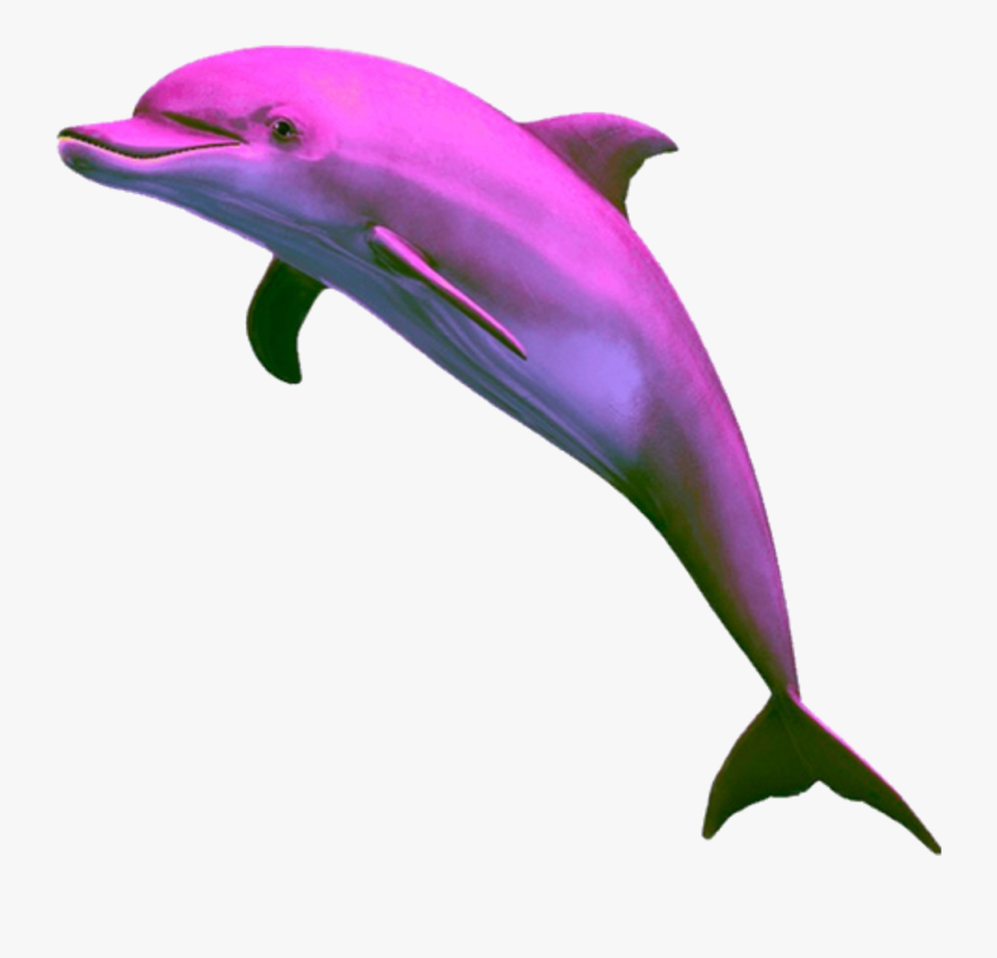 Aesthetic Dolphin Png Clipart , Png Download - Vaporwave Dolphin Png, Transparent Clipart
