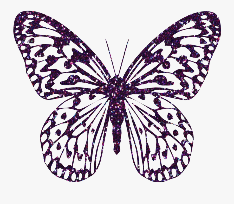 Butterfly Clipart Zebra - Decorative Butterfly Png, Transparent Clipart