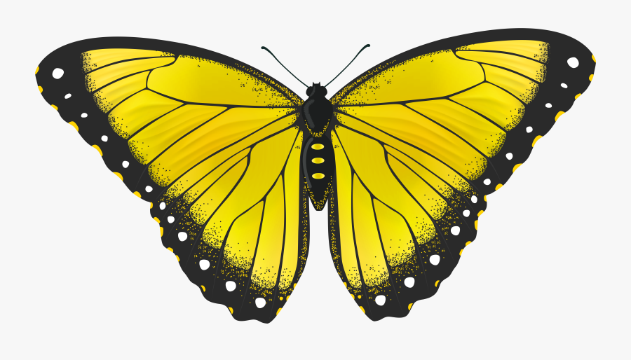 Yellow Butterfly Transparent Png Clip Art Image - Transparent Yellow Butterfly, Transparent Clipart