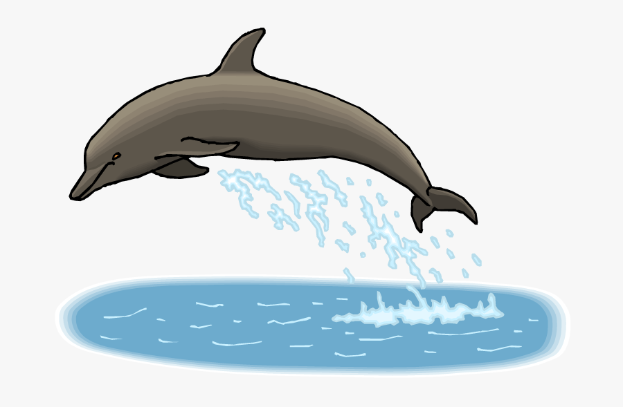 Transparent Dolphin Clipart - Dolphin, Transparent Clipart