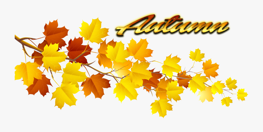 Fun Autumn Leaves Clip Art - Autumn Foliage Leaves Png, Transparent Clipart