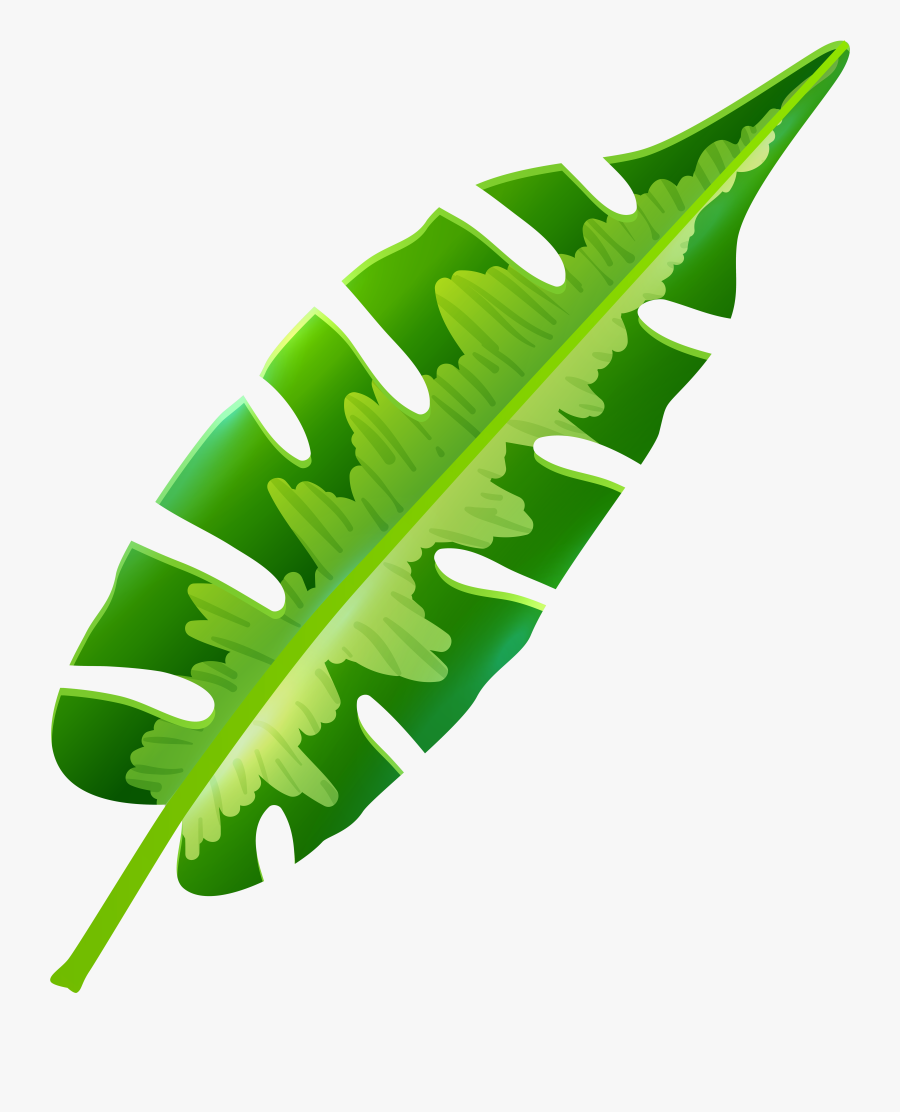 Tropical Leaf Clip Art Clipart Free Download, Transparent Clipart