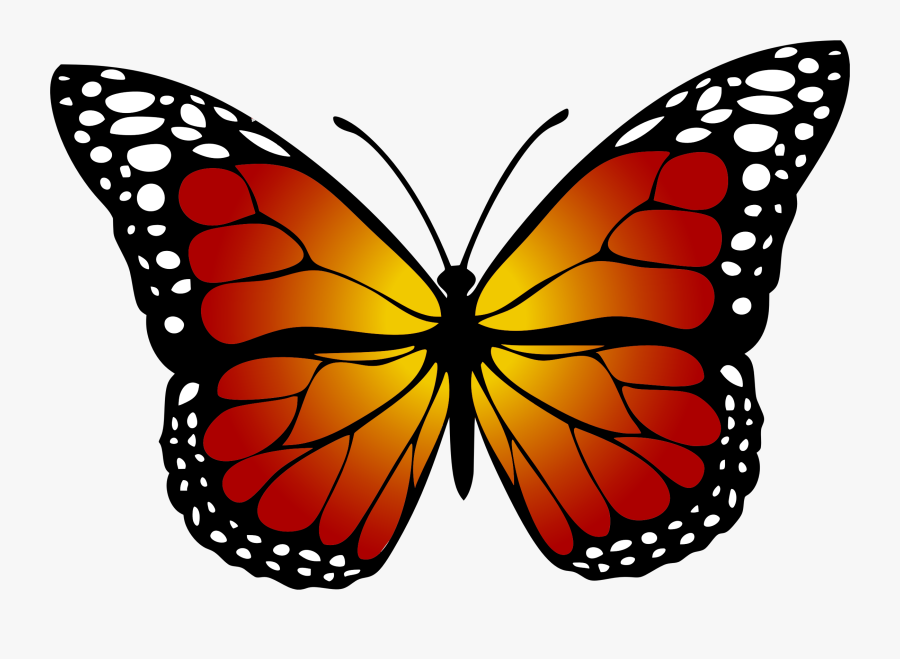 Free Images On Pixabay - Monarch Butterfly Clip Art, Transparent Clipart