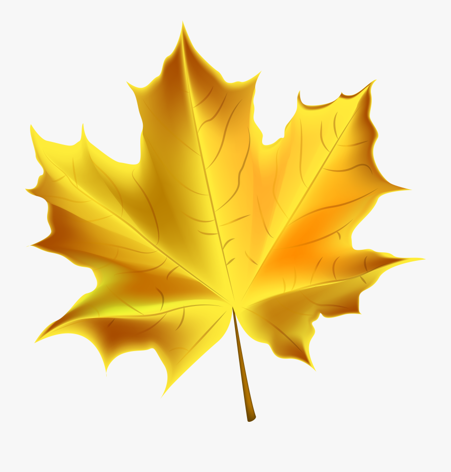 Beautiful Yellow Autumn Leaf Transparent Png Clip Art - Transparent Background Fall Leaves Clip Art, Transparent Clipart