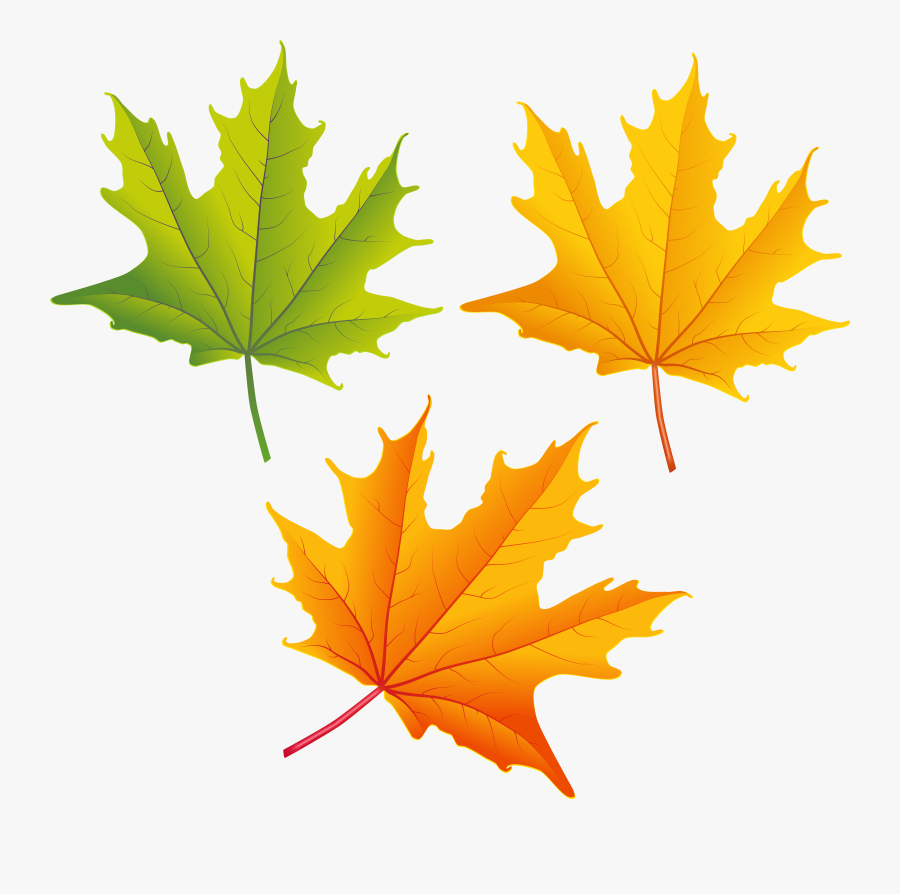 Top 82 Autumn Leaf Clip Art Free Clipart Image - Fall Leaves Free Clip Art, Transparent Clipart